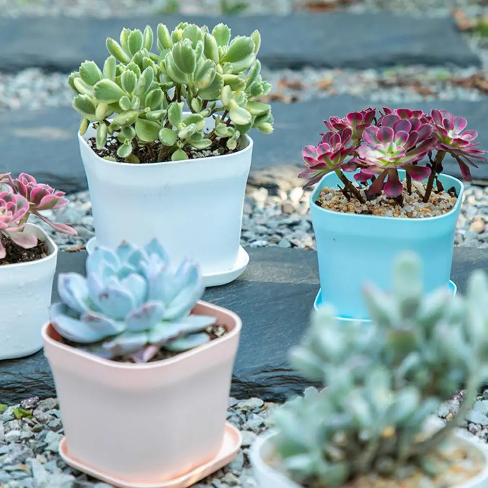 Square Convenient Succulent Plant Container 3 Colors Plant Container Thickened for Home
Square Convenient Succulent Plant Container 3 Colors Plant Container Thickened for Home