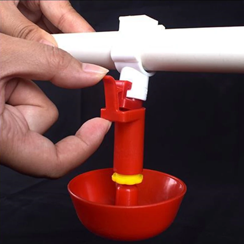 Automatic Chicken Water Cup Waterer Bowl Kit Farm Coop Poultry Waterer Drinking Water Feeder for Chicks Duck Goose Turkey Quail
Automatic Chicken Water Cup Waterer Bowl Kit Farm Coop Poultry Waterer Drinking Water Feeder for Chicks Duck Goose Turkey Quail