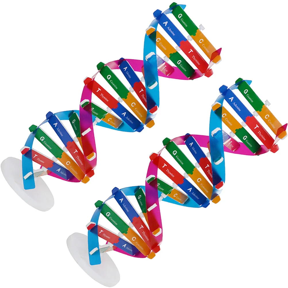 2 Pcs Double Helix Model Maniquine Dna Teaching Toy Dna Components Model Children Toys Puzzle Rotatable Dna Models
2 Pcs Double Helix Model Maniquine Dna Teaching Toy Dna Components Model Children Toys Puzzle Rotatable Dna Models