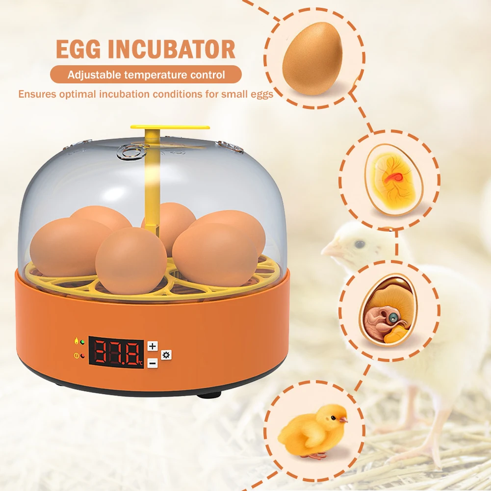 Control Quail Mini Bird Improvement Incubation Hatcher Temperature Turner Eggs Brooder Chicken Adjustable Hatching Speed
Control Quail Mini Bird Improvement Incubation Hatcher Temperature Turner Eggs Brooder Chicken Adjustable Hatching Speed