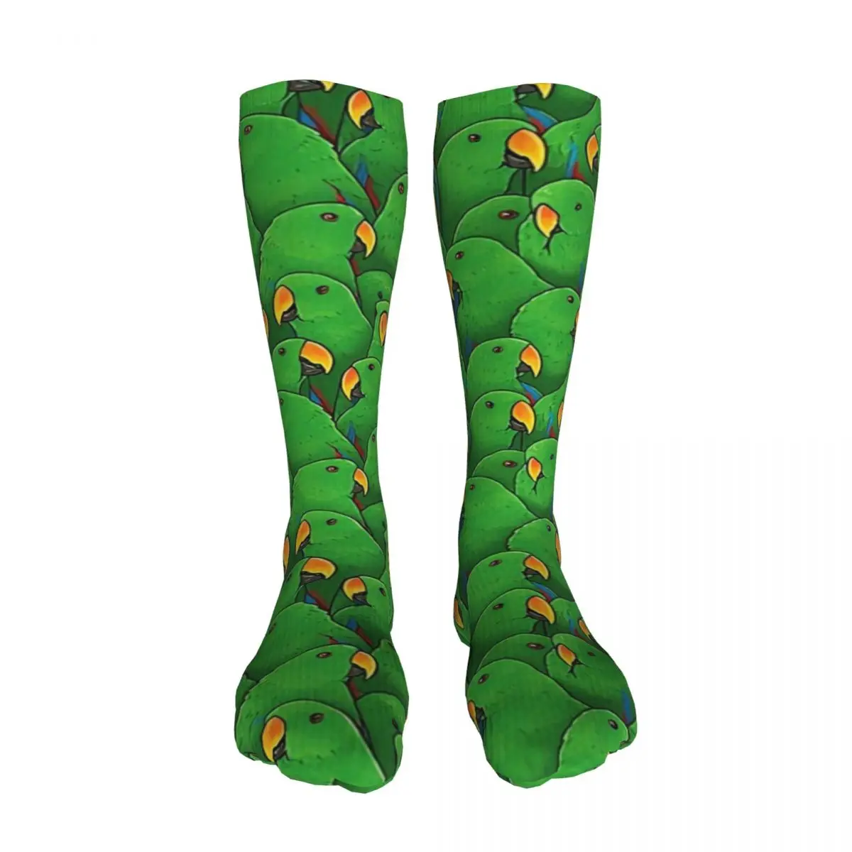 Male Eclectus Parrots stockings Thickened thermal stockings Men's and women's stockings, For Unisex
Male Eclectus Parrots stockings Thickened thermal stockings Men's and women's stockings, For Unisex