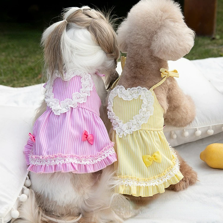 Lace Striped Dog Skirt Puppy Pet Cat Dresses Teddy Poodle Dog Clothes Dog Dresses for Small Dog Spring and Summer Pet Clothes
Lace Striped Dog Skirt Puppy Pet Cat Dresses Teddy Poodle Dog Clothes Dog Dresses for Small Dog Spring and Summer Pet Clothes
