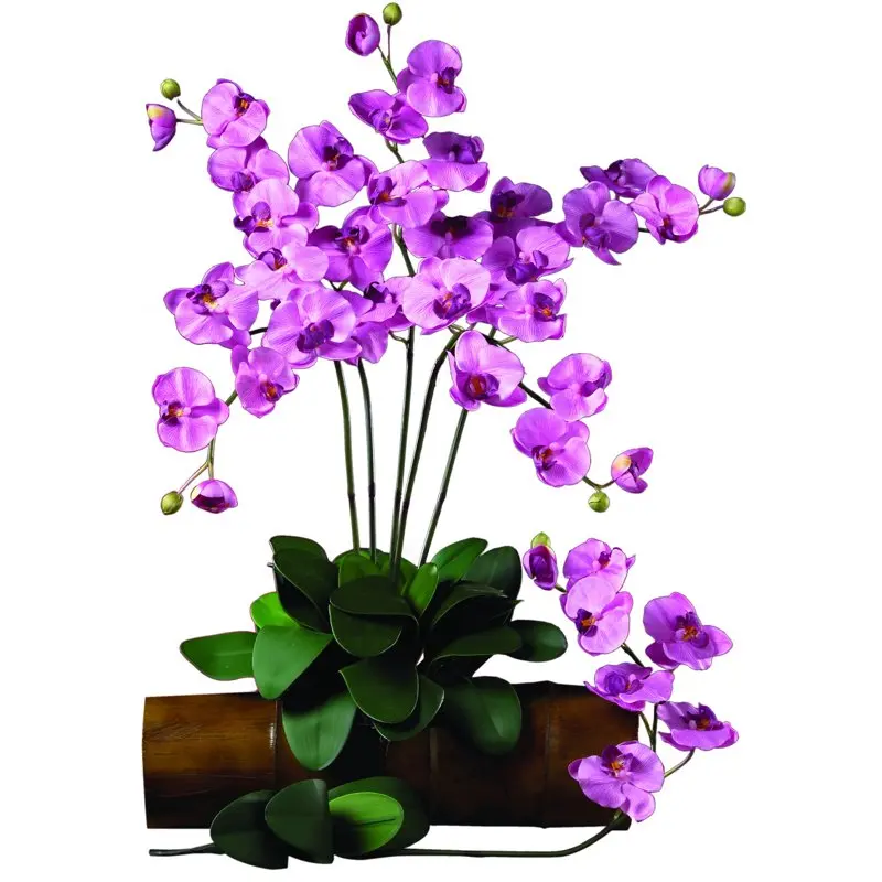 Charming Artificial Flower Set of 6, Vibrant Purple Stems for Lasting Decorations and Display.
Charming Artificial Flower Set of 6, Vibrant Purple Stems for Lasting Decorations and Display.