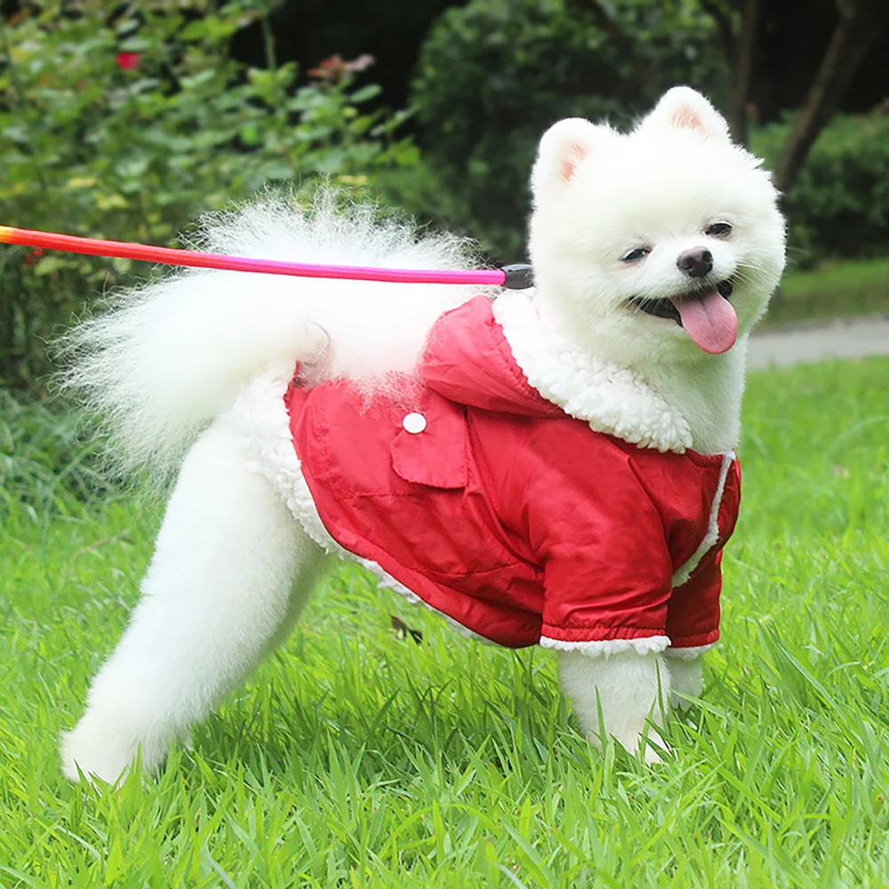 Pet dog outdoor clothes autumn and winter plus velvet warm small and medium dog windproof clothing pet supplies
Pet dog outdoor clothes autumn and winter plus velvet warm small and medium dog windproof clothing pet supplies