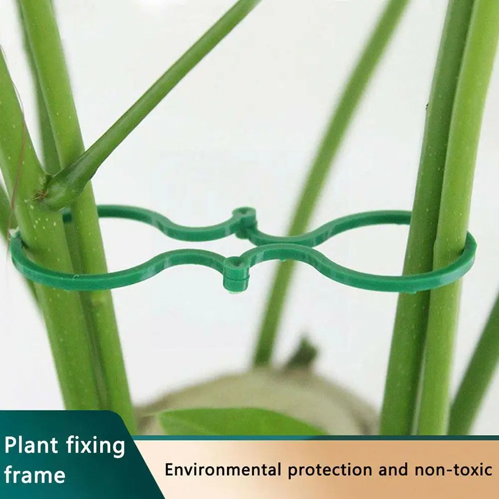 50/100pcs Garden Clips Trellis for Vine Vegetable Tomato To Grow Upright Garden Plant Stand Tool Accessories Plant Support D4E7
50/100pcs Garden Clips Trellis for Vine Vegetable Tomato To Grow Upright Garden Plant Stand Tool Accessories Plant Support D4E7