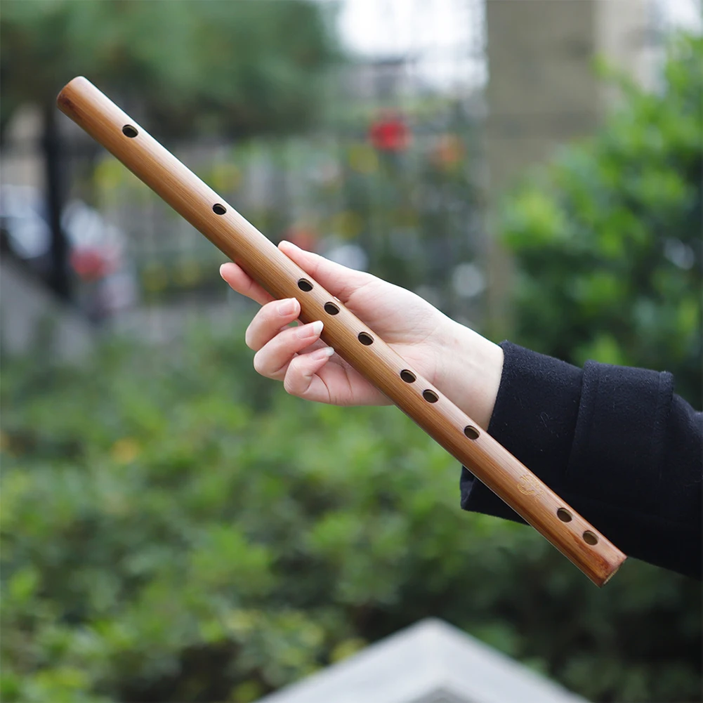 Traditional Wooden Flute Woodwind Musical Instrument Beginner Gift C D E F G Key Recorder Birthday Gift Round Hole
Traditional Wooden Flute Woodwind Musical Instrument Beginner Gift C D E F G Key Recorder Birthday Gift Round Hole