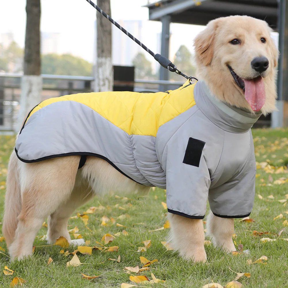 Golden Labrador Retriever Waterproof Dog Jumpsuit Overalls For Medium Large Dogs Big Dog Winter Warm Cotton Blend Coat
Golden Labrador Retriever Waterproof Dog Jumpsuit Overalls For Medium Large Dogs Big Dog Winter Warm Cotton Blend Coat