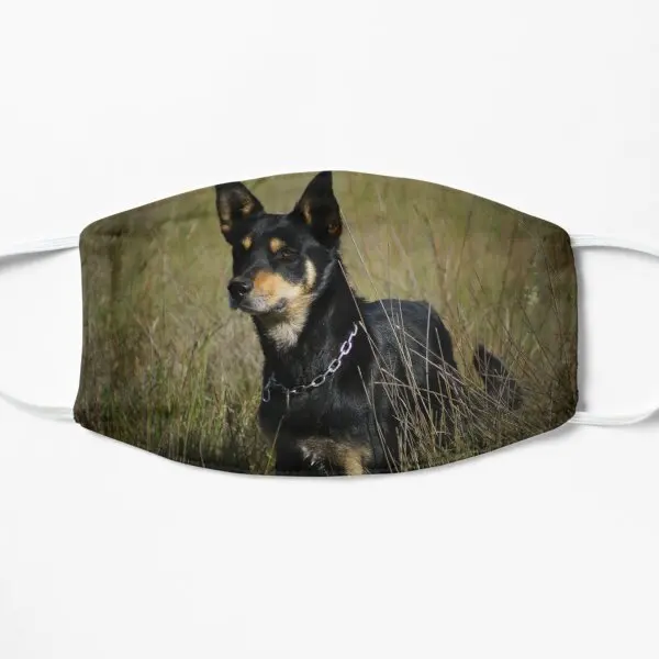 Max The Kelpie Flat Printing Face Mask Dustproof Fashion Pattern Health Winter Anti Dust Unisex Reusable Accessories Haze
Max The Kelpie Flat Printing Face Mask Dustproof Fashion Pattern Health Winter Anti Dust Unisex Reusable Accessories Haze
