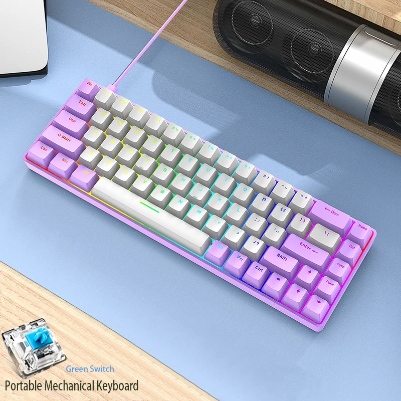 Gaming Mechanical Keyboard 68 Keys Keyboards RGB Backlight USB Type-C Wired Keyboard For Desktop Or Laptop Green Switch
Gaming Mechanical Keyboard 68 Keys Keyboards RGB Backlight USB Type-C Wired Keyboard For Desktop Or Laptop Green Switch