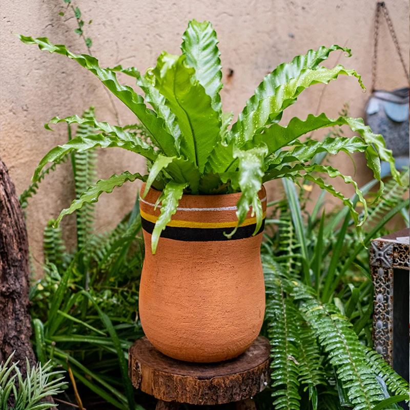 Unique Round Vase Wedding Free Shipping Plant Art Vase Design Charm Jewelry Para Mesa De Centro Sala Vase Modern Home Decor
Unique Round Vase Wedding Free Shipping Plant Art Vase Design Charm Jewelry Para Mesa De Centro Sala Vase Modern Home Decor