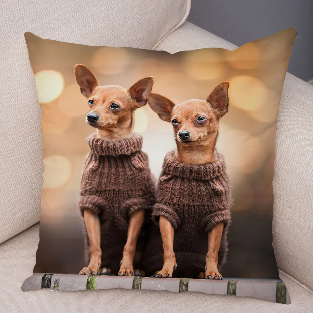 Cute Puppy Chihuahua Pillowcase Cushion Cover Car Sofa Home Cute Pet Animal Pillowcase Decoration cover pillowcase
Cute Puppy Chihuahua Pillowcase Cushion Cover Car Sofa Home Cute Pet Animal Pillowcase Decoration cover pillowcase