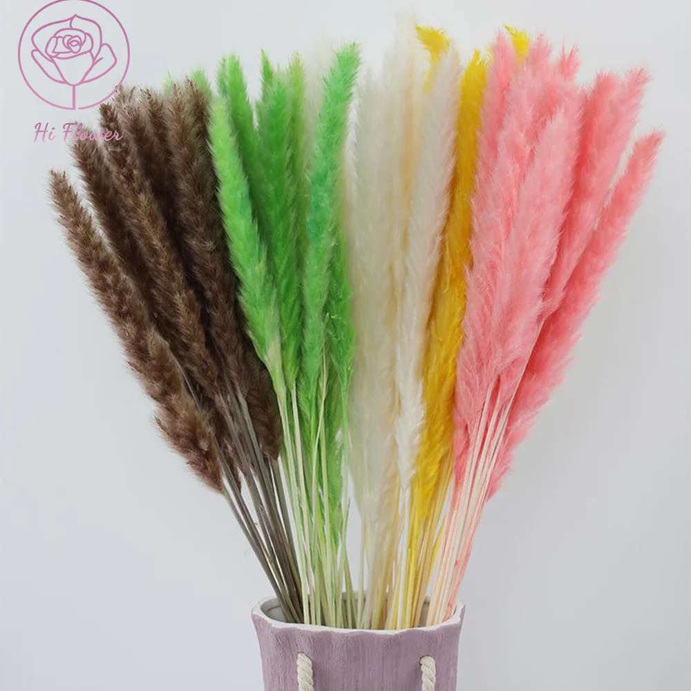 Small Pampas Grass Bouquet Colorful Natural Dehydrated Dried Flowers for Wedding Home Decoration Preserved Flowers Country Decor
Small Pampas Grass Bouquet Colorful Natural Dehydrated Dried Flowers for Wedding Home Decoration Preserved Flowers Country Decor