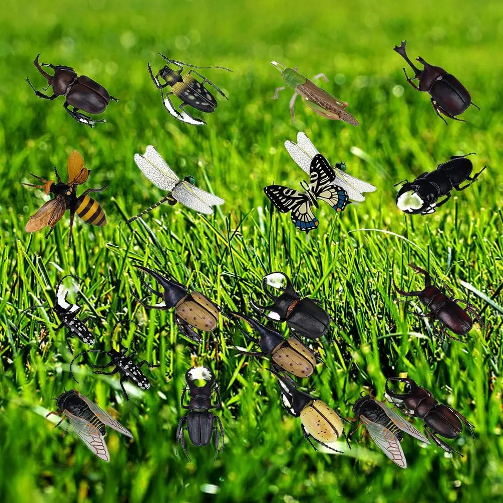 16Pcs Insect Models Simulated Wild Animal Insects Figurine Beetles Spiders Longicorn Prank Educational Toy Children Gifts
16Pcs Insect Models Simulated Wild Animal Insects Figurine Beetles Spiders Longicorn Prank Educational Toy Children Gifts