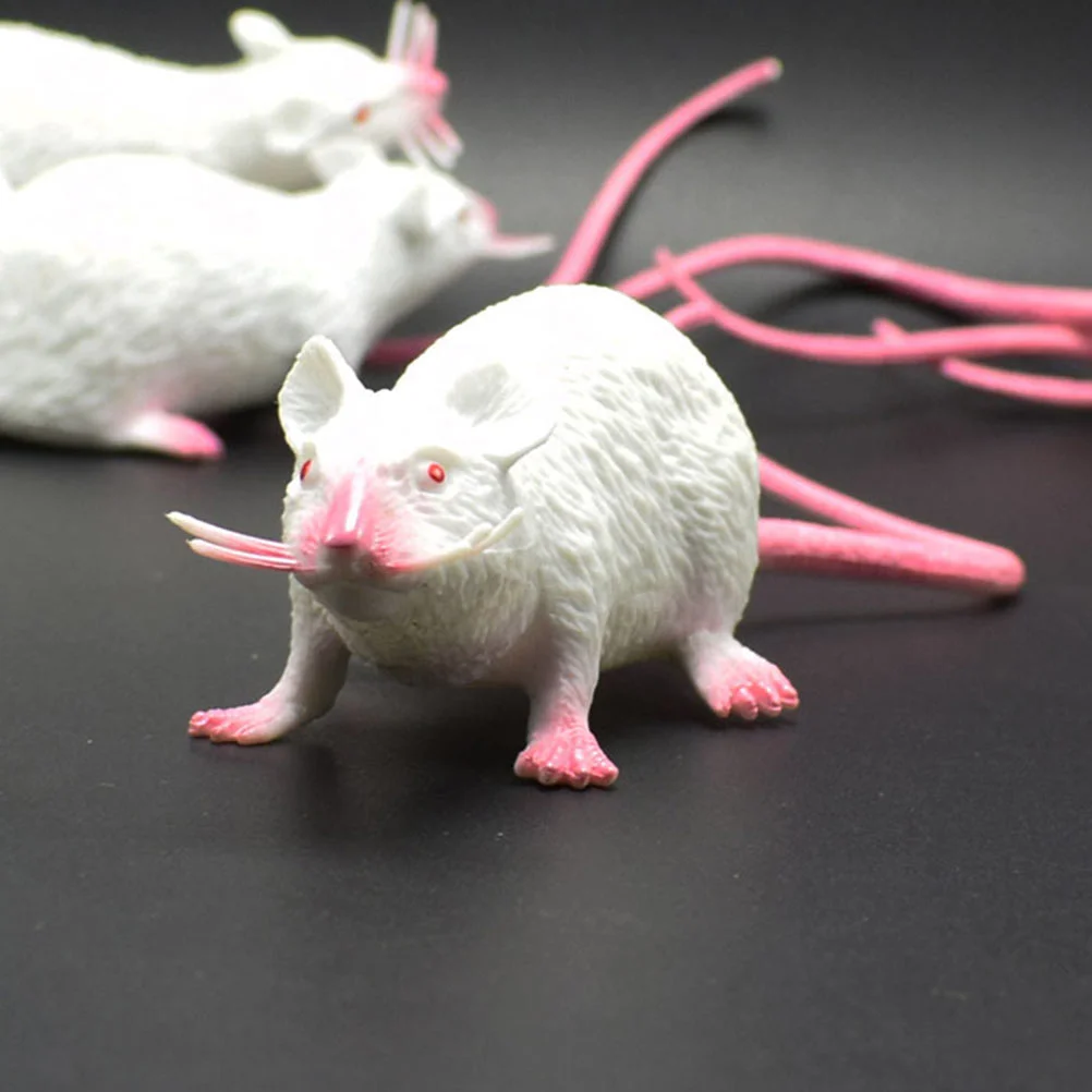 Fake Prank Looking Mice Model Scary Dead Rubber Rats Small Prop Party Props Simulation
Fake Prank Looking Mice Model Scary Dead Rubber Rats Small Prop Party Props Simulation
