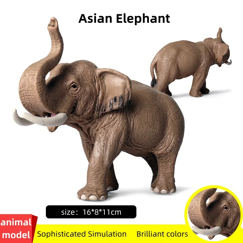 Children's simulation safari elephant static model male Asian elephant elephant model home decoration cognitive ornaments
Children's simulation safari elephant static model male Asian elephant elephant model home decoration cognitive ornaments
