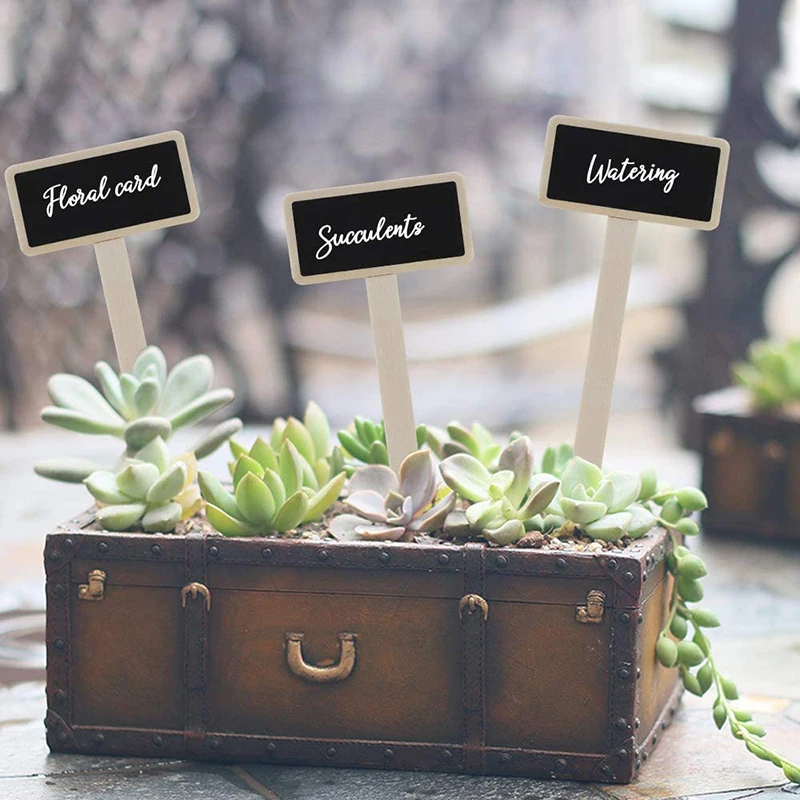 Garden Labels Mini Wooden Garden Flowers Tools Seed Potted Herbs Vegetables Plant Classification Tags Markers for Flower Pot
Garden Labels Mini Wooden Garden Flowers Tools Seed Potted Herbs Vegetables Plant Classification Tags Markers for Flower Pot