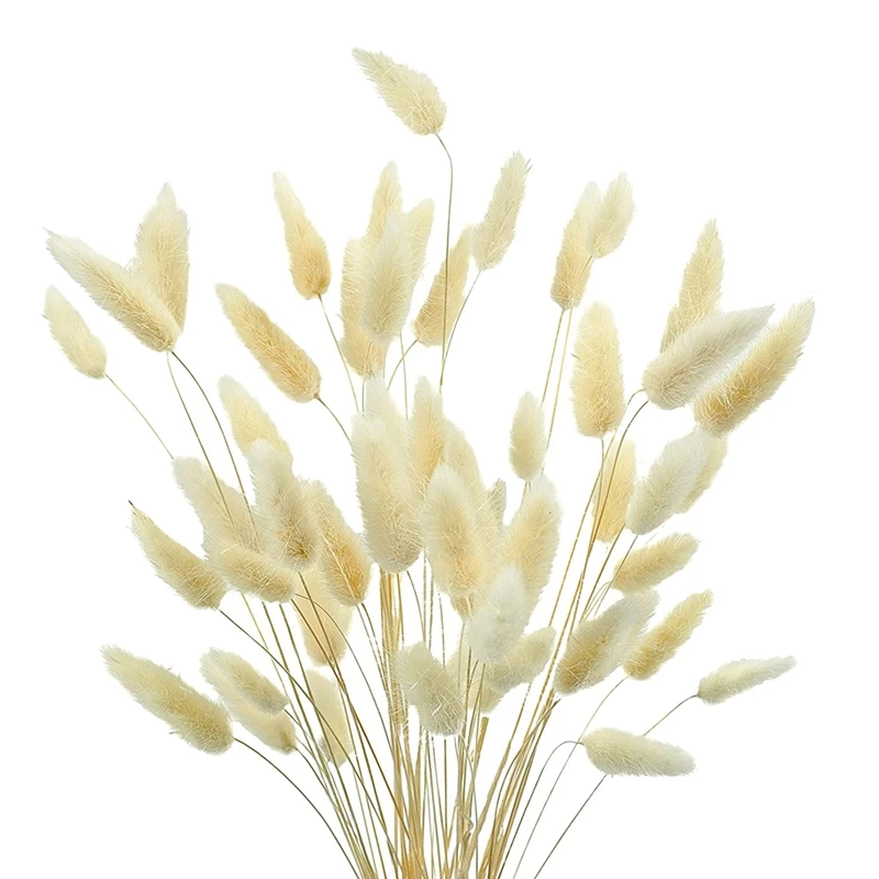 50PCS Natural Rabbit's Tail Grass,17Inch Dried Pampas Grass For Wedding Home Decoration Flower Arrangements(White)
50PCS Natural Rabbit's Tail Grass,17Inch Dried Pampas Grass For Wedding Home Decoration Flower Arrangements(White)