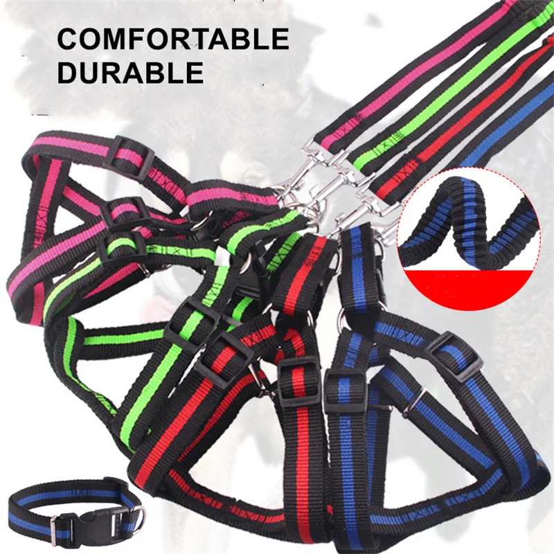 Elastic Adjustable Dog Retractable Collar Harness Leash Set Vest Chest Bungee Rope Lead Walking Large Big Dogs Pitbull Bulldog
Elastic Adjustable Dog Retractable Collar Harness Leash Set Vest Chest Bungee Rope Lead Walking Large Big Dogs Pitbull Bulldog