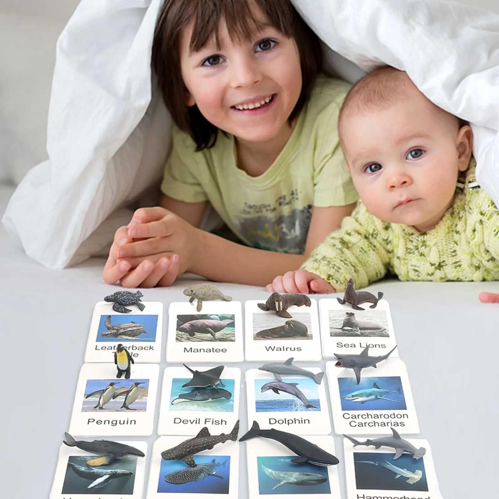 Animal Models Matching Cards Animal Picture Memory Card Marine Animal Matching Cards Montessori Language Learning Material
Animal Models Matching Cards Animal Picture Memory Card Marine Animal Matching Cards Montessori Language Learning Material