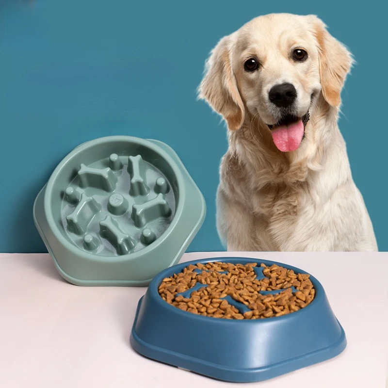 Dog Feeding Bowl Puppy Food Container Feeder Dish Pet Feeding Water Tool Dog Cat Food Bowl Slow Down Eating Home Camping
Dog Feeding Bowl Puppy Food Container Feeder Dish Pet Feeding Water Tool Dog Cat Food Bowl Slow Down Eating Home Camping