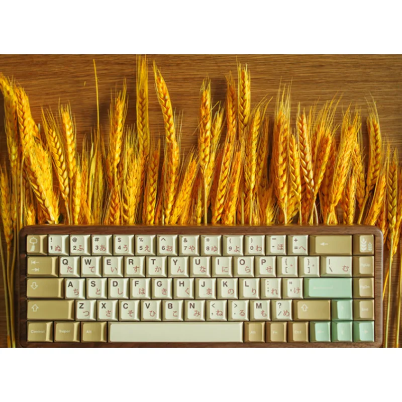 141 Keys Wheat Keycap Cherry Profile PBT DYE-SUB Custom Keycap With 1.75U 2U Shift For Mx Switch 60% 80% 100% Layout Keyboard
141 Keys Wheat Keycap Cherry Profile PBT DYE-SUB Custom Keycap With 1.75U 2U Shift For Mx Switch 60% 80% 100% Layout Keyboard