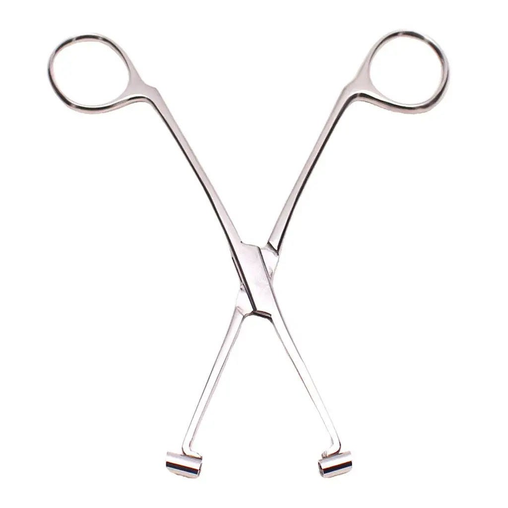 

Steel 6" Septum Forceps Body Belly Navel Nose Lip Ear Piercing Clamp Tool