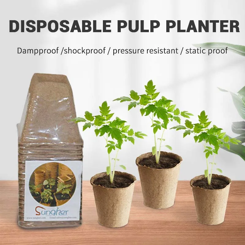 10 Pcs Biodegradable Paper Pulp Nursery Pots Cultivation Cup Peat Pots Greenhouse Flower Pot Seedling Trays Plant Gardening Tool
10 Pcs Biodegradable Paper Pulp Nursery Pots Cultivation Cup Peat Pots Greenhouse Flower Pot Seedling Trays Plant Gardening Tool