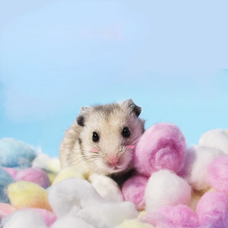 100Pcs/Bag Colorful Winter Keep Warm Cotton Ball Cute Cage House Filler Supply for Hamster Rat Mouse Small Animals Supplies Hot
100Pcs/Bag Colorful Winter Keep Warm Cotton Ball Cute Cage House Filler Supply for Hamster Rat Mouse Small Animals Supplies Hot
