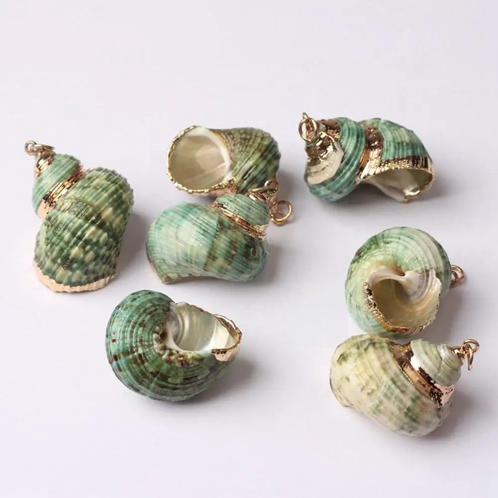 

17 Styles Aquarium Beach Nautical DIY Shells Colorful Scallop Seashells Natural Shells Ornament Decor Crafts Decorations 5P N1A7