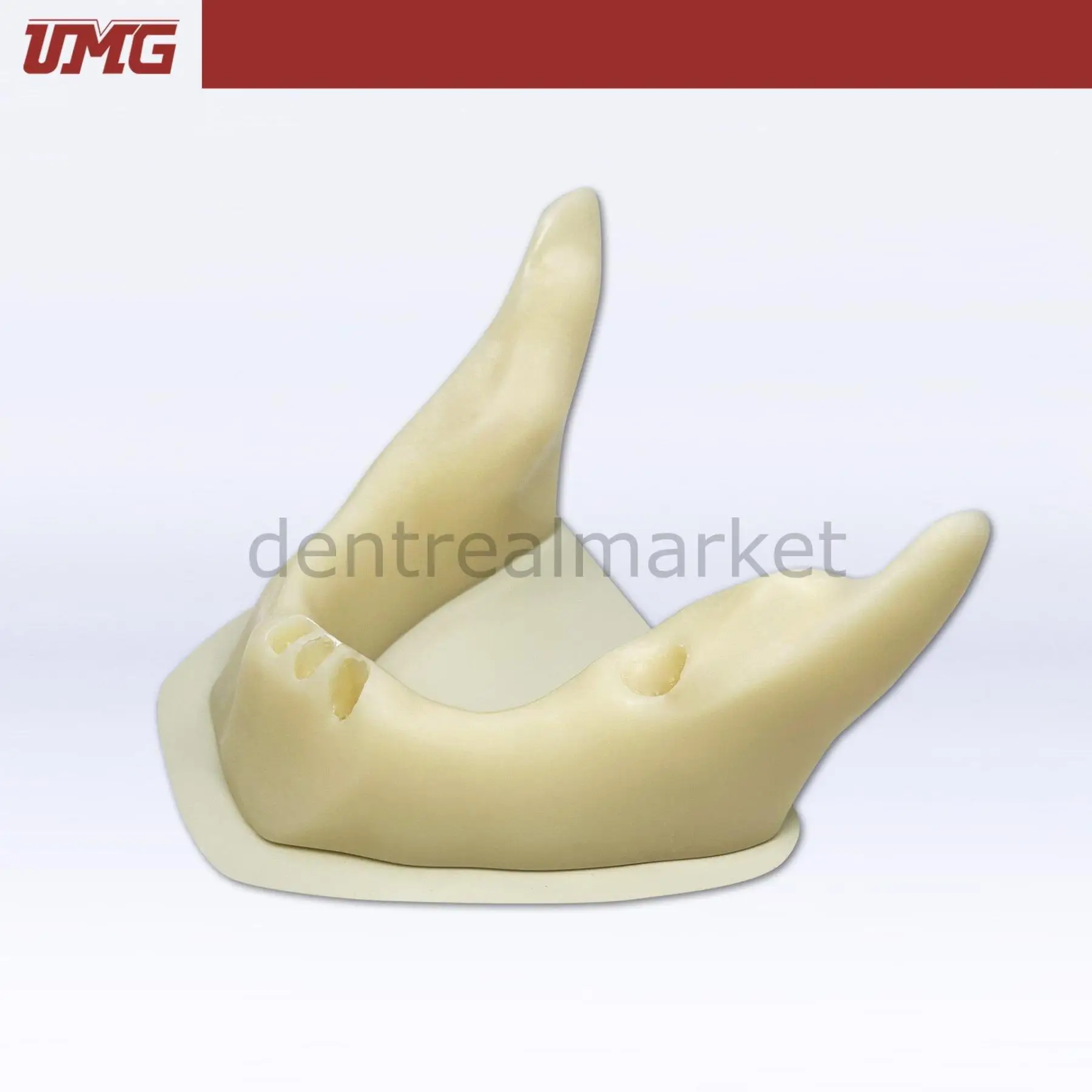 Модель UMG Dental - Umg анатомическая костная челюсть для установки имплантов-искусственная
Модель UMG Dental - Umg анатомическая костная челюсть для установки имплантов-искусственная