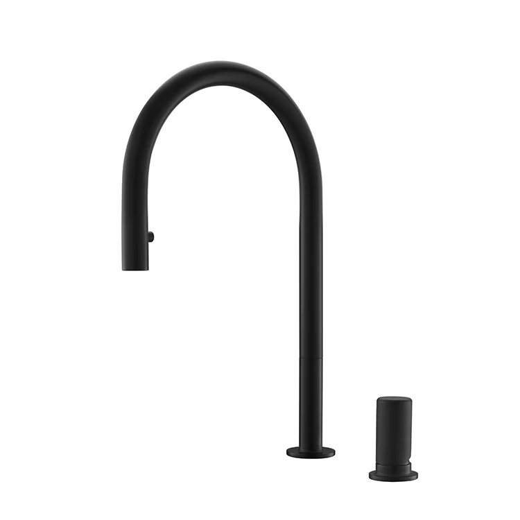 Pull Down Kitchen Mixer Hidden Sink Double Hole Cupc Commercial Brass Kitchen Faucet
Pull Down Kitchen Mixer Hidden Sink Double Hole Cupc Commercial Brass Kitchen Faucet