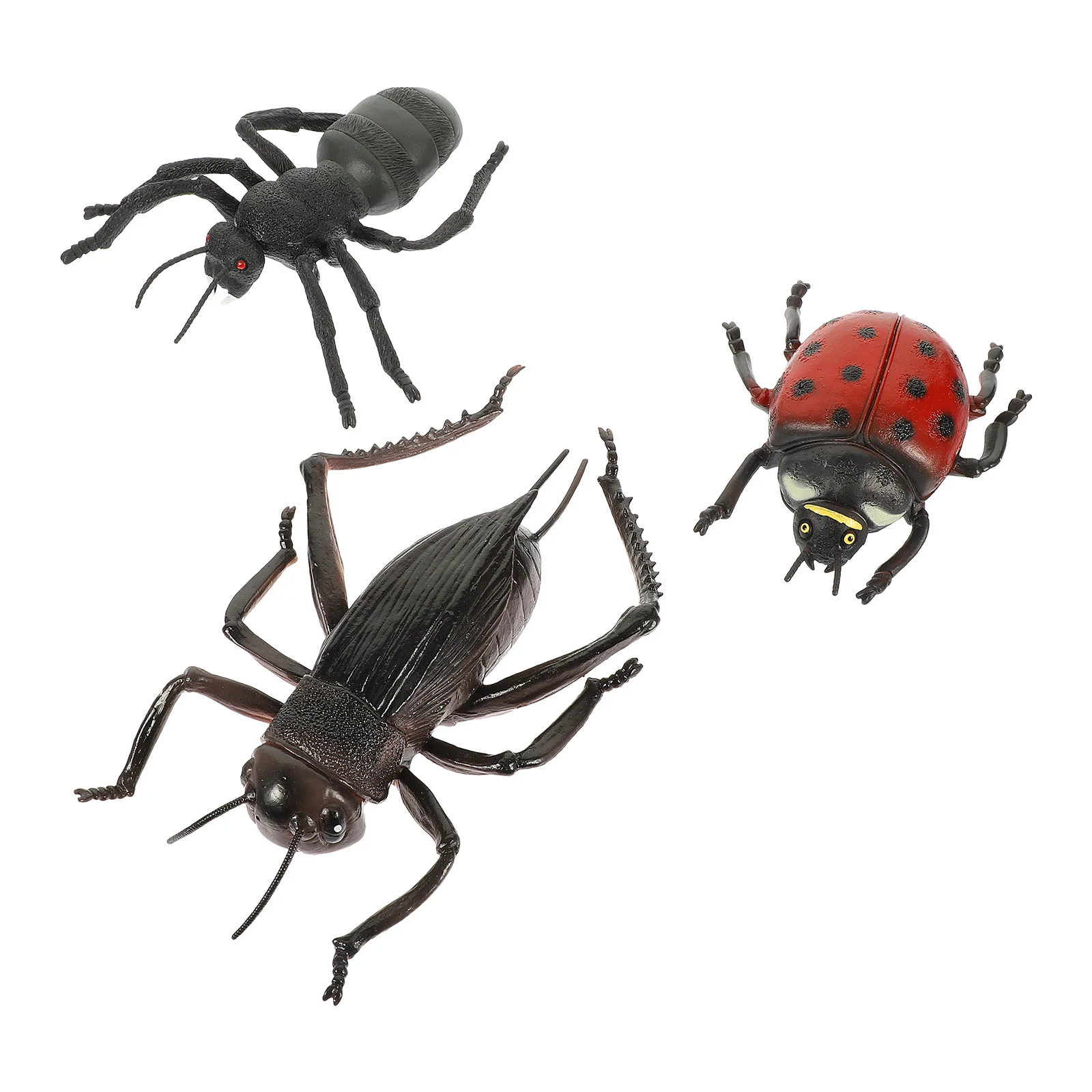 Model Animal Insect Decoration Ant Insects Toy Ornament Desktop Toys Simulation Figures Fake Kiddecorative Pot Flower Education
Model Animal Insect Decoration Ant Insects Toy Ornament Desktop Toys Simulation Figures Fake Kiddecorative Pot Flower Education
