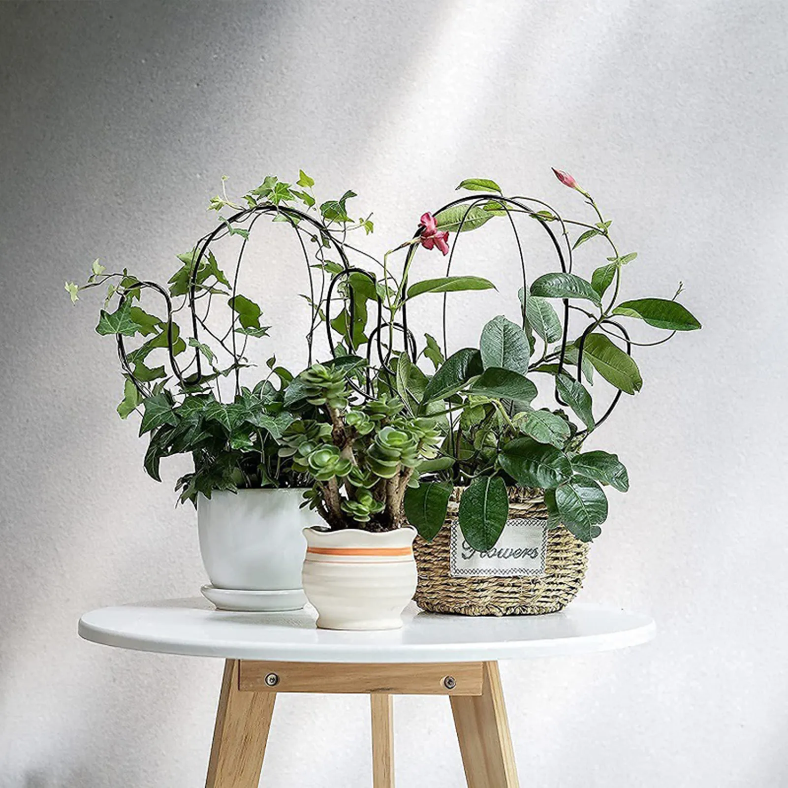 Plant Frame Flower Stand Climbing Vine Rack Plant Potted Support Frame Iron Flower Vegetables Decorative Trellis Bracket
Plant Frame Flower Stand Climbing Vine Rack Plant Potted Support Frame Iron Flower Vegetables Decorative Trellis Bracket