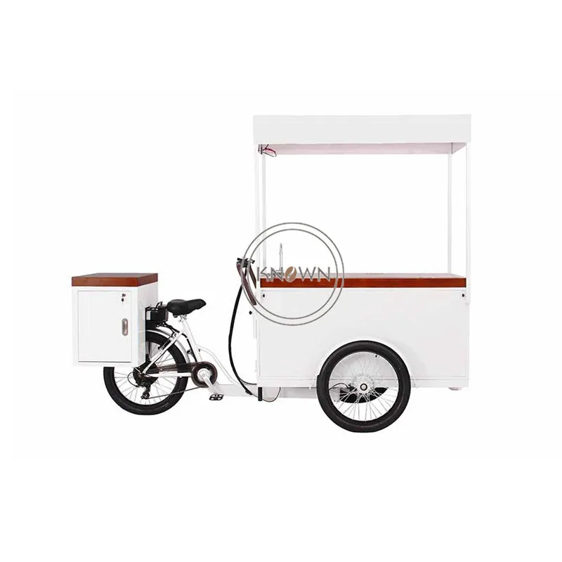 Adult Electric Tricycle Cargo Bike Family Refrigerator Food Vending Cart for Ice Cream Popsicle
Adult Electric Tricycle Cargo Bike Family Refrigerator Food Vending Cart for Ice Cream Popsicle