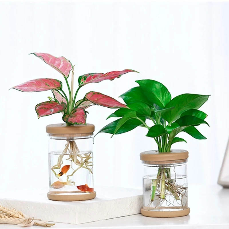 Creative Small Fresh Transparent Glass Vase Home Green Dill Hydroponic Glass Bottle Office Green Plant Vase Ornaments Fish Tank
Creative Small Fresh Transparent Glass Vase Home Green Dill Hydroponic Glass Bottle Office Green Plant Vase Ornaments Fish Tank