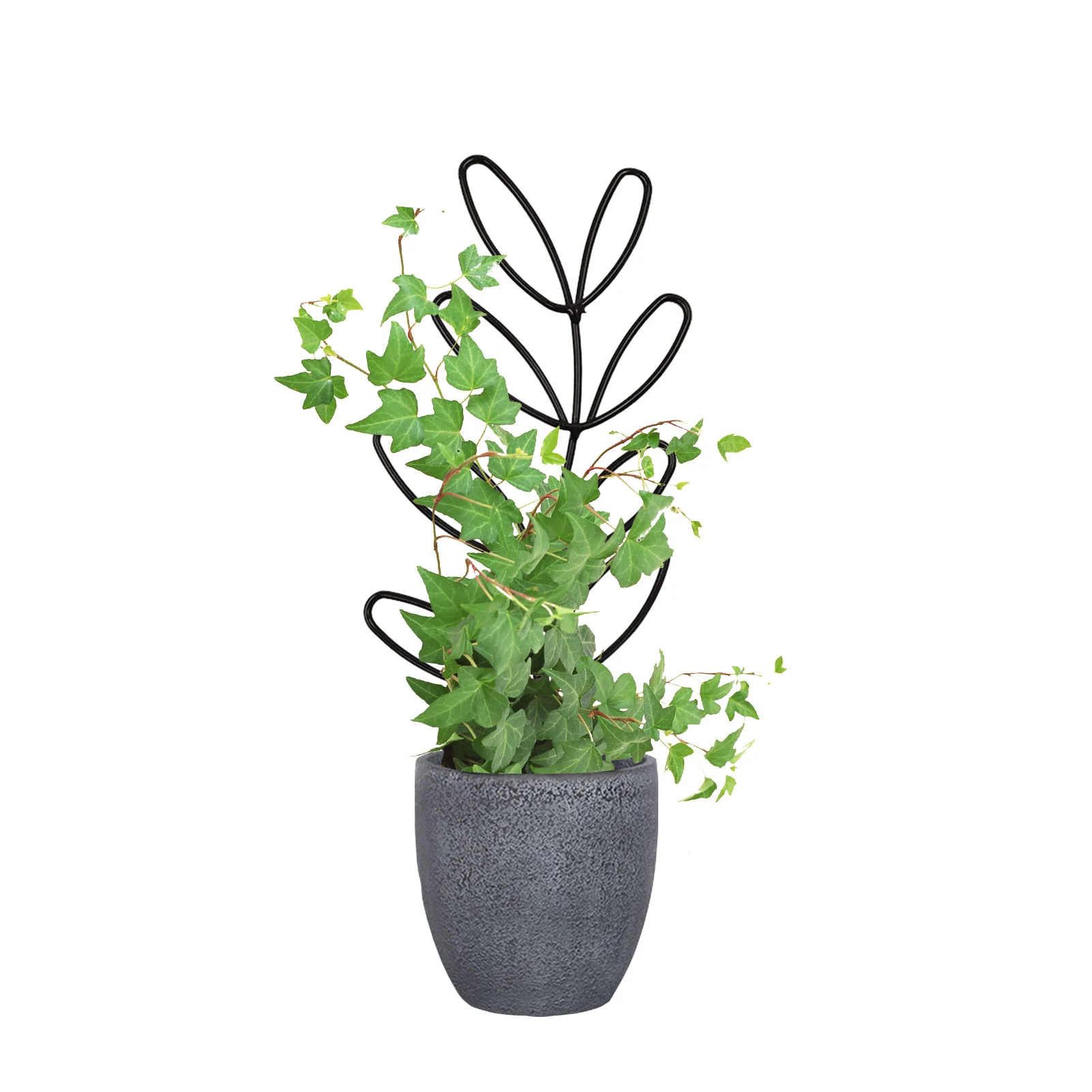 Indoor Plant Trellis Trellis For Potted Plants Leaf-Shaped Plant Support Trellis For Indoor Outdoor DIY Mini Climbing Plants
Indoor Plant Trellis Trellis For Potted Plants Leaf-Shaped Plant Support Trellis For Indoor Outdoor DIY Mini Climbing Plants