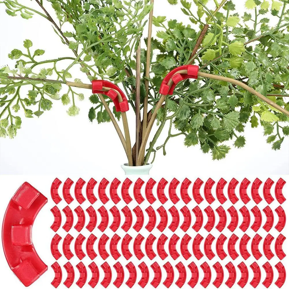 15Pcs Plant Bender Clips 90 Degree Reusable Plant Branches Bending Clip For Low Stres Training Plants Training Curved Growth
15Pcs Plant Bender Clips 90 Degree Reusable Plant Branches Bending Clip For Low Stres Training Plants Training Curved Growth