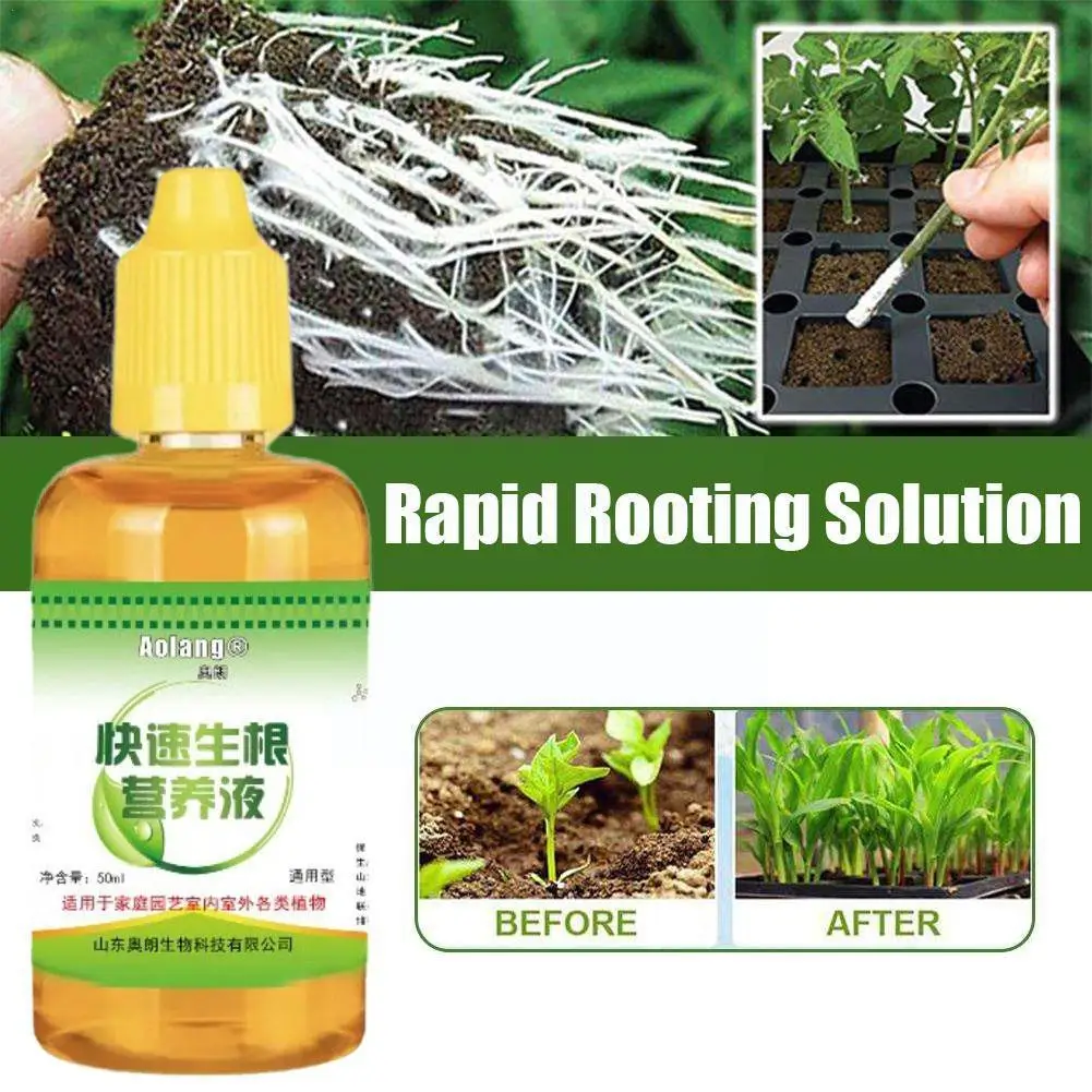 Garden Supplies Fast Potting Rooting Plant Nutrient Solution Promote Sprouting Rapid Flowering Durable For Plant Supplies R0I3
Garden Supplies Fast Potting Rooting Plant Nutrient Solution Promote Sprouting Rapid Flowering Durable For Plant Supplies R0I3