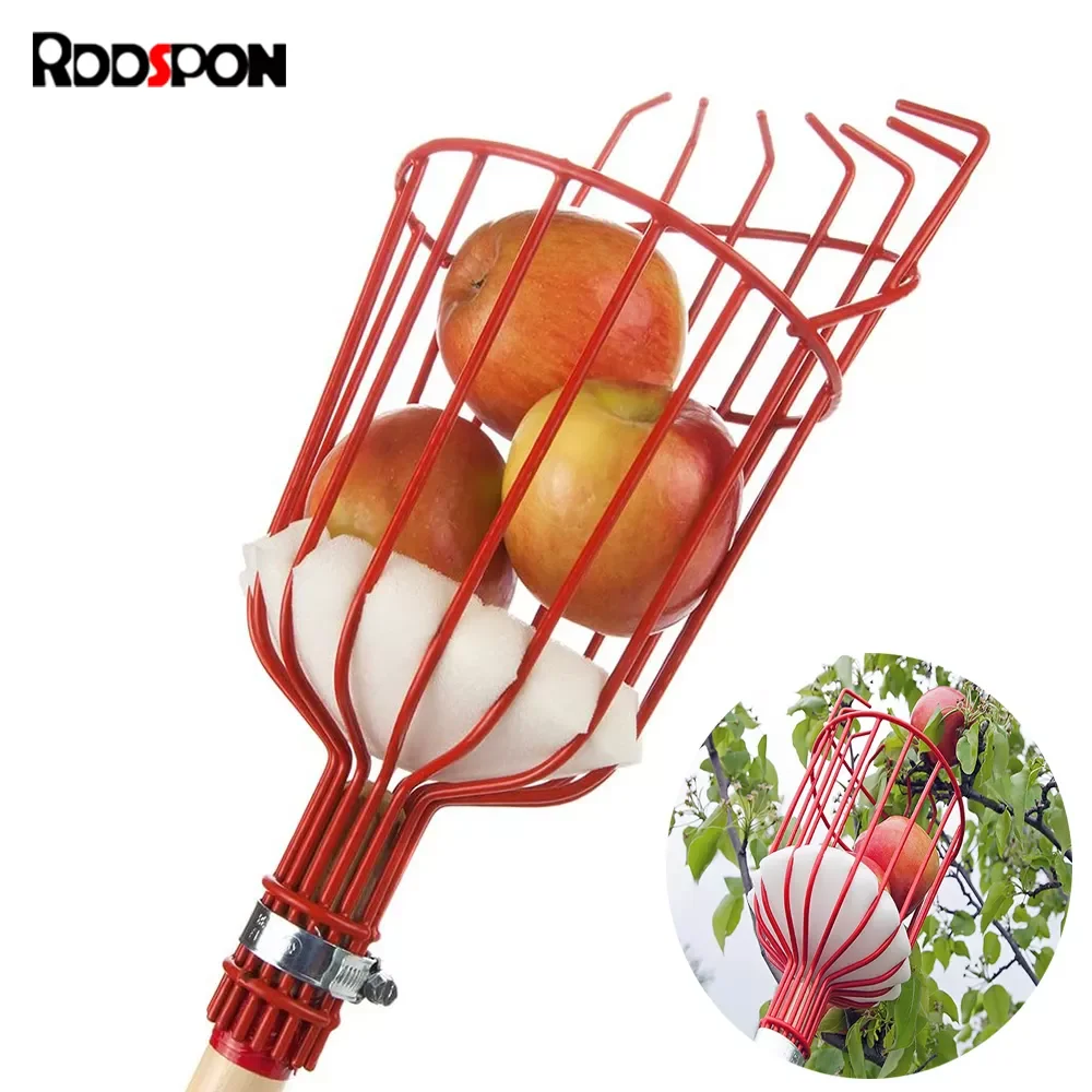 2020 Aluminum Deep Basket Fruit Picker Convenient Harvesting Fruit Collector Catcher Peach Picking Garden Tools
2020 Aluminum Deep Basket Fruit Picker Convenient Harvesting Fruit Collector Catcher Peach Picking Garden Tools