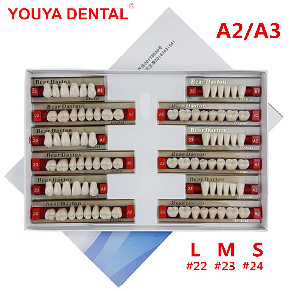84pcs A2/A3 Dental Teeth Model For Studying Teaching Practice Training Acrylic Resin False Teeth Fake Full Mouth Denture Tooth
84pcs A2/A3 Dental Teeth Model For Studying Teaching Practice Training Acrylic Resin False Teeth Fake Full Mouth Denture Tooth
