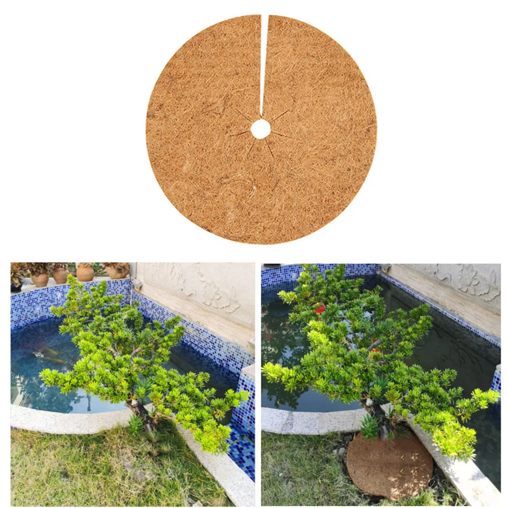 3pcs 20-60cm Coconut Mulching Discs Coconut Plant Protection Coconut Fibre Disc Mat Flower Pot 0.6-0.8cm Thick
3pcs 20-60cm Coconut Mulching Discs Coconut Plant Protection Coconut Fibre Disc Mat Flower Pot 0.6-0.8cm Thick