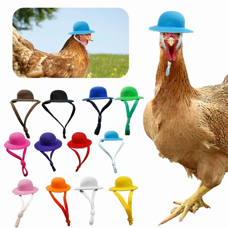 Chicken Hat For Hens Tiny Pets Funny Chicken Accessories Hen Top Hat For Rooster Duck Parrot Hamster Poultry Stylish Show Costum
Chicken Hat For Hens Tiny Pets Funny Chicken Accessories Hen Top Hat For Rooster Duck Parrot Hamster Poultry Stylish Show Costum