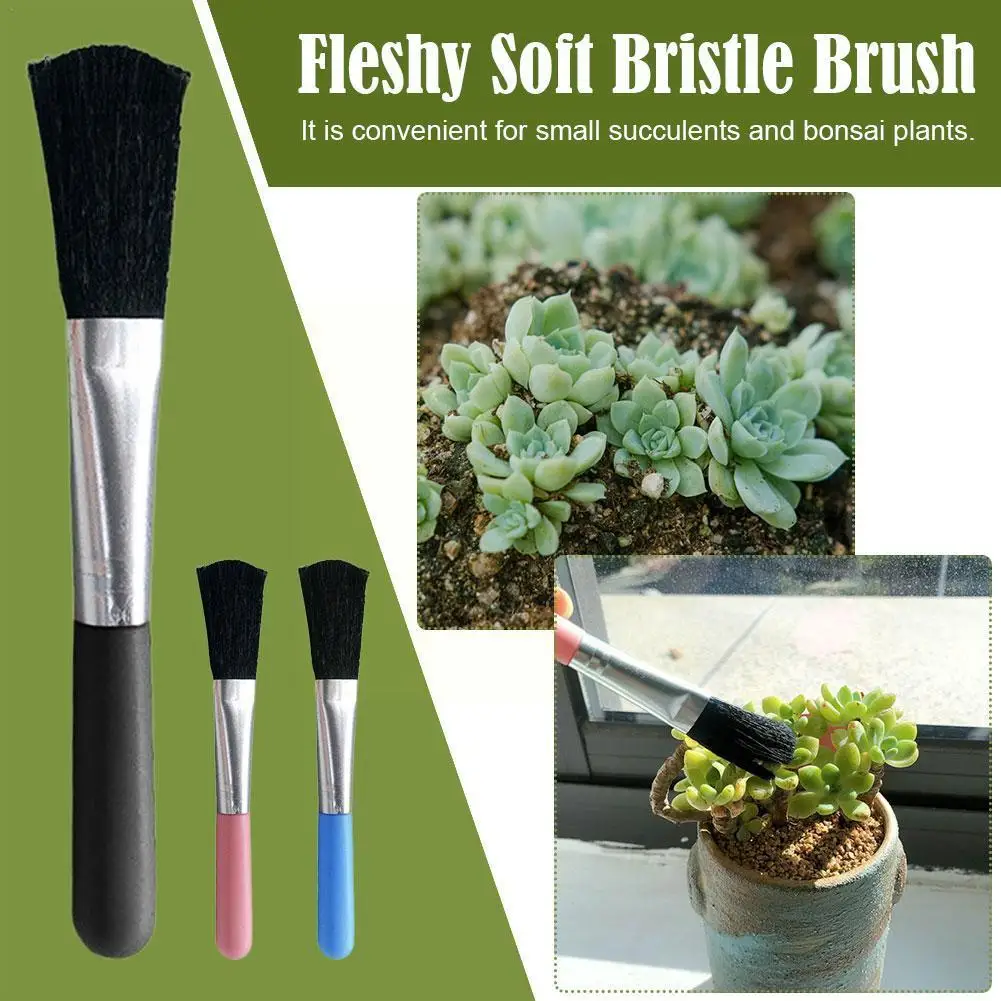 1pcs Garden Succulents Plant Soft Bristle Brush Indoor Succulents Plant Tool Micro Landscape Green Planting Pot Z8r2
1pcs Garden Succulents Plant Soft Bristle Brush Indoor Succulents Plant Tool Micro Landscape Green Planting Pot Z8r2
