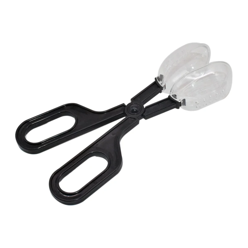 Beekeeping Queen Bee Catcher Cage Bees Marking Catchers Clip Plastic Queen Cage Beekeeper Apiculture Tool
Beekeeping Queen Bee Catcher Cage Bees Marking Catchers Clip Plastic Queen Cage Beekeeper Apiculture Tool