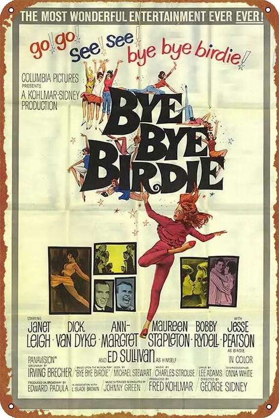Bye Birdie постер фильма винтажный вид жестяная металлическая вывеска украшение