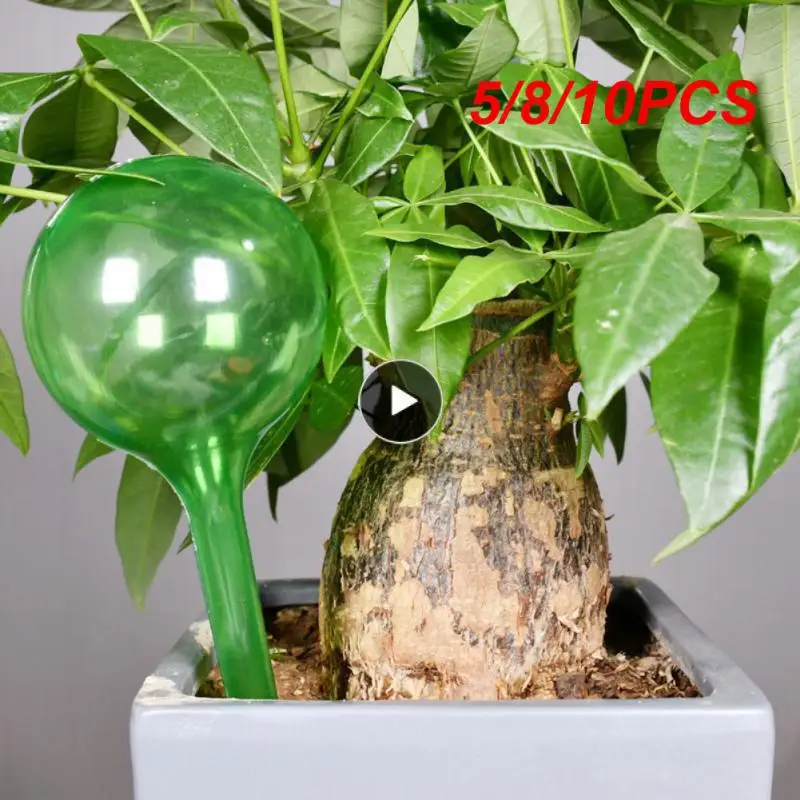 5/8/10PCS Auto Drip Irrigation System Automatic Automation Kits Waterer Plant Water Feeder Garden Plant Pot
5/8/10PCS Auto Drip Irrigation System Automatic Automation Kits Waterer Plant Water Feeder Garden Plant Pot