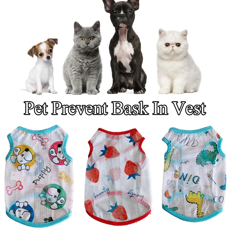 2022 Cute Cartoon Dog Clothes Pet Cat Cooling Vest for Small Medium Large Summer Puppy Chihuahua T-shirt Sun Protection Clothes
2022 Cute Cartoon Dog Clothes Pet Cat Cooling Vest for Small Medium Large Summer Puppy Chihuahua T-shirt Sun Protection Clothes