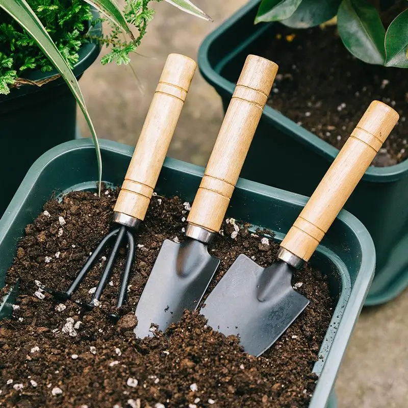 Home Potted Wooden Handle Trident Rake Tip Shovel Big Black Gardening Mini Three-Piece Set Succulent Loose Soil Spade
Home Potted Wooden Handle Trident Rake Tip Shovel Big Black Gardening Mini Three-Piece Set Succulent Loose Soil Spade