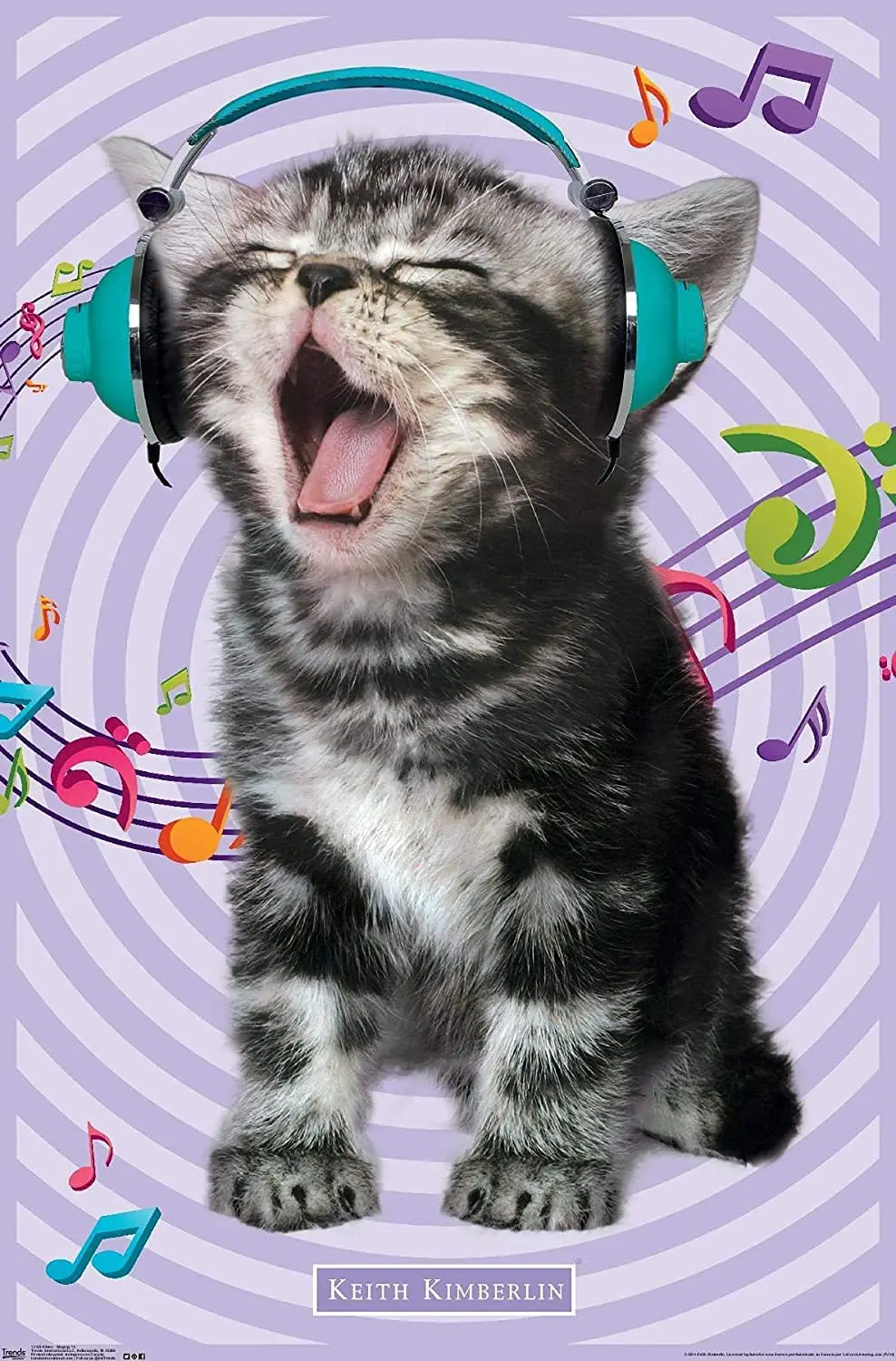 Metal Sign - Kitten - Singing Wall Decor Tin Sign 8"x12" 
Metal Sign - Kitten - Singing Wall Decor Tin Sign 8"x12"