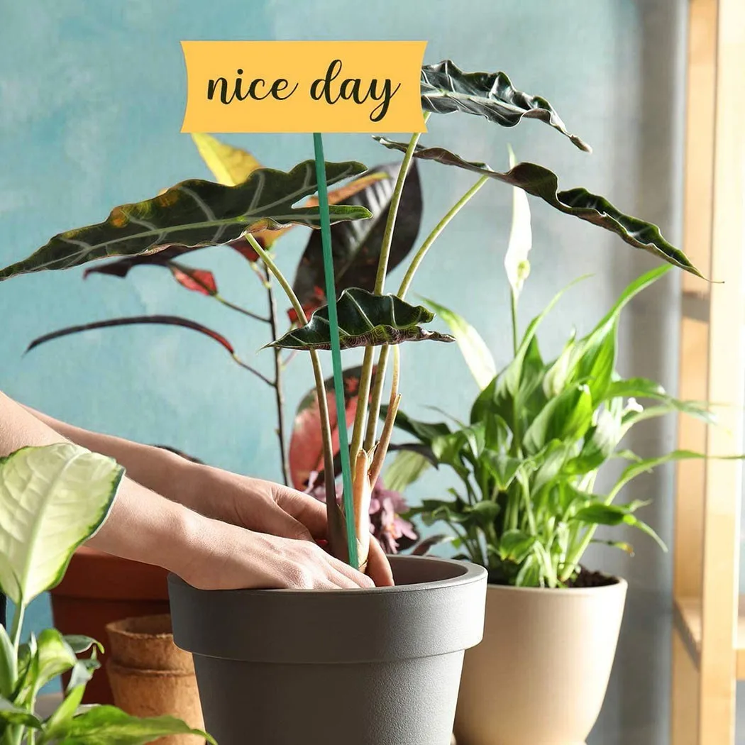 10pcs 40cm Green Plant Support Sticks Canes Growing Vegetables For Flowers Garden Holiday Decorations Plant Care Accessories
10pcs 40cm Green Plant Support Sticks Canes Growing Vegetables For Flowers Garden Holiday Decorations Plant Care Accessories